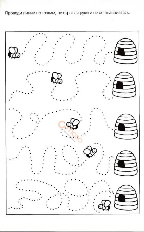 Hình ảnh nhà 2 Hình ảnh nhà 2