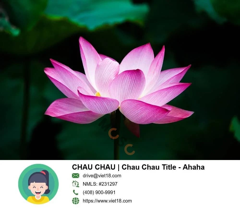 Hình ảnh nhà 3 Hình ảnh nhà 3